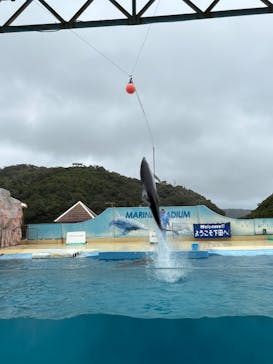 下田海中水族館に投稿された画像（2025/8/10）