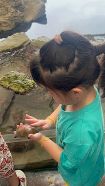 城崎マリンワールドに投稿された画像（2025/8/10）