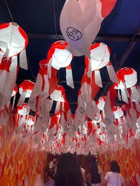 錦鯉・金魚アクアリウム in ときメッセに投稿された画像（2025/8/10）