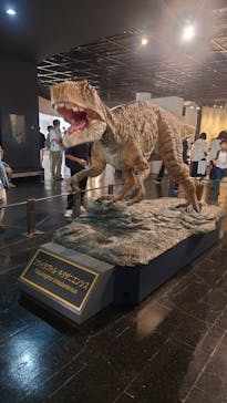 福井県立恐竜博物館に投稿された画像（2025/8/10）