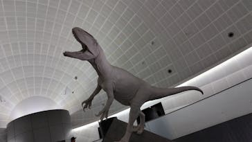 福井県立恐竜博物館に投稿された画像（2025/8/10）