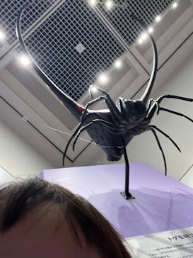 特別展 『昆虫 MANIAC』に投稿された画像（2025/8/10）