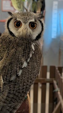 Moff animal cafe イオンモール幕張新都心店に投稿された画像（2025/8/10）