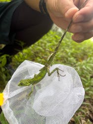 美ら島探検隊TLEBOに投稿された画像（2025/8/10）