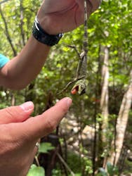 美ら島探検隊TLEBOに投稿された画像（2025/8/10）