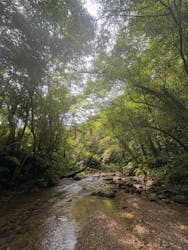 美ら島探検隊TLEBOに投稿された画像（2025/8/10）