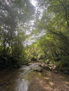 美ら島探検隊TLEBOに投稿された画像（2025/8/10）