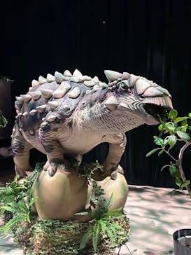 氷見 大恐竜博 @氷見市芸術文化館に投稿された画像（2025/8/10）