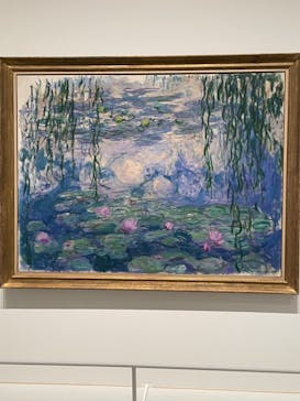 モネ 睡蓮のとき（豊田会場）に投稿された画像（2025/8/10）