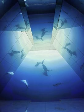 Little universe OKINAWAに投稿された画像（2025/8/10）