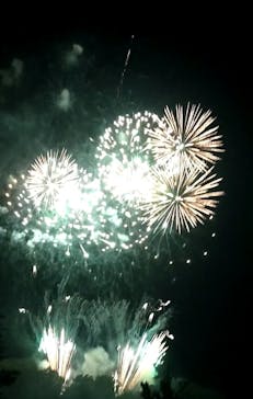 ムーミンバレーパークに投稿された画像（2025/8/10）