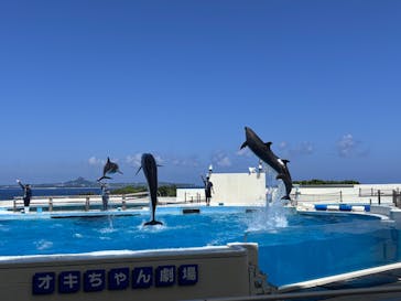 沖縄美ら海水族館に投稿された画像（2025/8/10）
