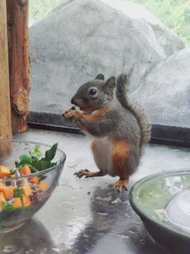 仙台うみの杜水族館に投稿された画像（2025/8/10）