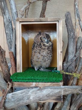 仙台うみの杜水族館に投稿された画像（2025/8/10）