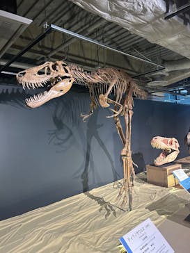 大恐竜展に投稿された画像（2025/8/10）