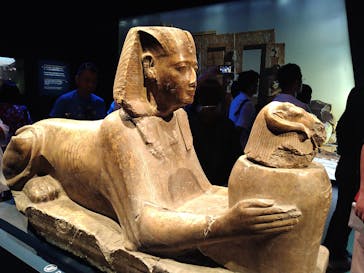 ACN ラムセス大王展 ファラオたちの黄金に投稿された画像（2025/8/10）