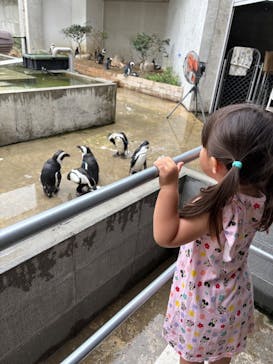 霞ケ浦 どうぶつとみんなのいえに投稿された画像（2025/8/10）