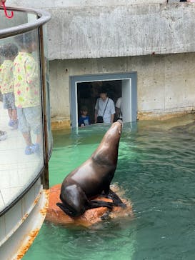 城崎マリンワールドに投稿された画像（2025/8/10）