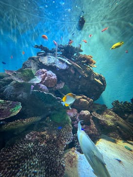 城崎マリンワールドに投稿された画像（2025/8/10）