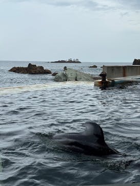 城崎マリンワールドに投稿された画像（2025/8/10）