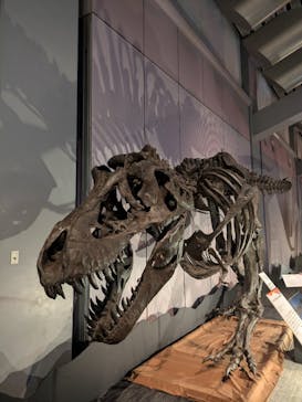巨大恐竜展2025に投稿された画像（2025/8/10）