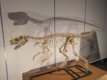 巨大恐竜展2025に投稿された画像（2025/8/10）