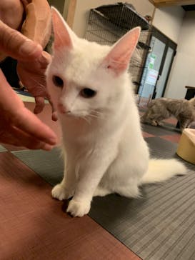 おさるランド＆アニタウン　日光さる軍団劇場に投稿された画像（2025/8/10）