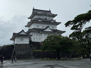 小田原城に投稿された画像（2025/8/10）