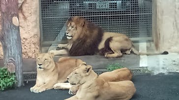 東京動物園協会_多摩動物公園に投稿された画像（2025/8/10）