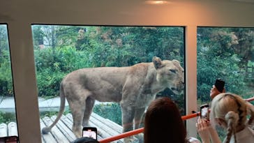 東京動物園協会_多摩動物公園に投稿された画像（2025/8/10）