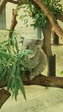 多摩動物公園に投稿された画像（2025/8/10）