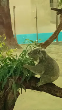 多摩動物公園に投稿された画像（2025/8/10）