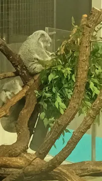 多摩動物公園に投稿された画像（2025/8/10）