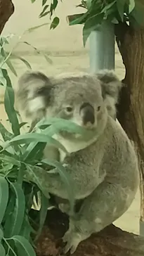 多摩動物公園に投稿された画像（2025/8/10）