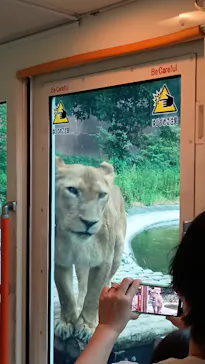 多摩動物公園に投稿された画像（2025/8/10）