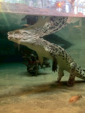 名古屋市東山動植物園に投稿された画像（2025/8/10）