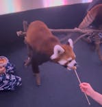 横浜・八景島シーパラダイスに投稿された画像（2025/8/10）