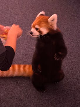 横浜・八景島シーパラダイスに投稿された画像（2025/8/10）