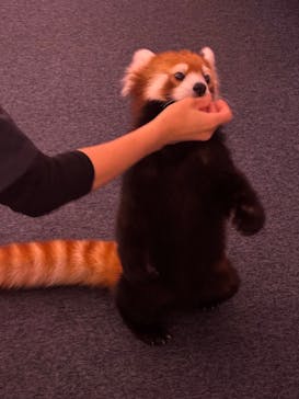 横浜・八景島シーパラダイスに投稿された画像（2025/8/10）