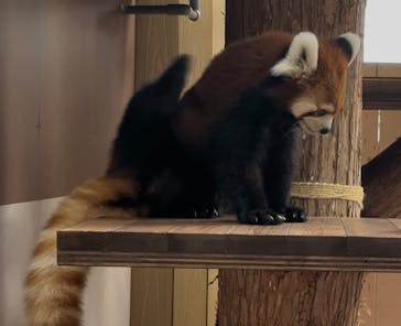 横浜・八景島シーパラダイスに投稿された画像（2025/8/10）