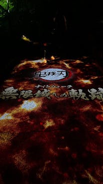 ニジゲンノモリに投稿された画像（2025/8/10）