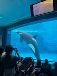 名古屋港水族館に投稿された画像（2025/8/10）