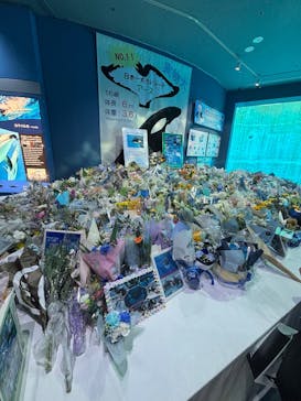 名古屋港水族館に投稿された画像（2025/8/10）