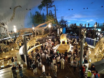 福井県立恐竜博物館に投稿された画像（2025/8/10）