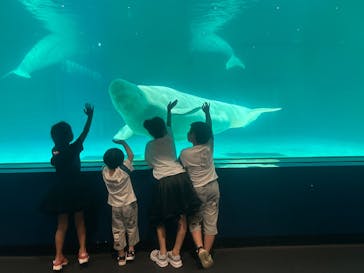 鴨川シーワールドに投稿された画像（2025/8/10）