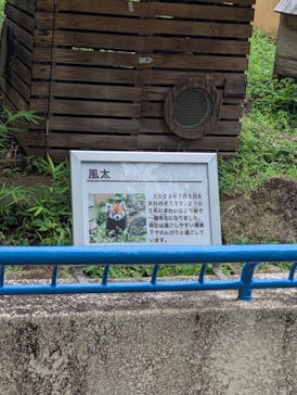 千葉市動物公園に投稿された画像（2025/8/10）
