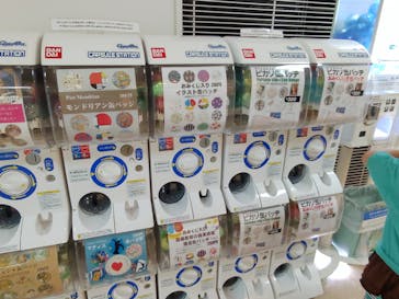 彫刻の森美術館に投稿された画像（2025/8/10）