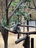 名古屋市東山動植物園に投稿された画像（2025/8/11）