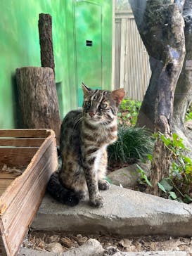 名古屋市東山動植物園に投稿された画像（2025/8/10）