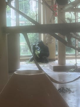 名古屋市東山動植物園に投稿された画像（2025/8/10）